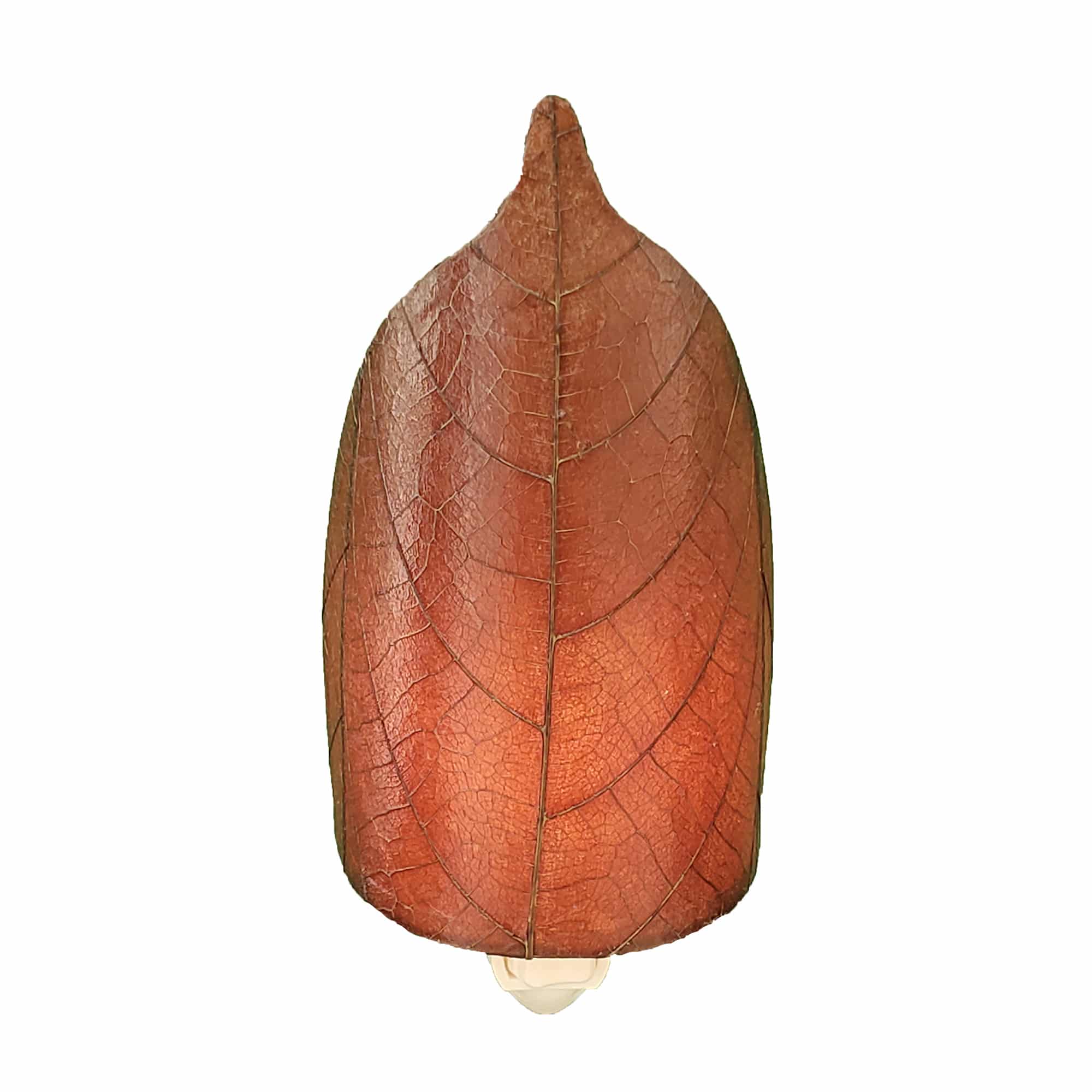 Crafted by the artisans of Eangee Home Design, the Leaf Nightlight in burgundy against a clean backdrop, featuring fossilized cocoa leaf shade, eco friendly, handcrafted.