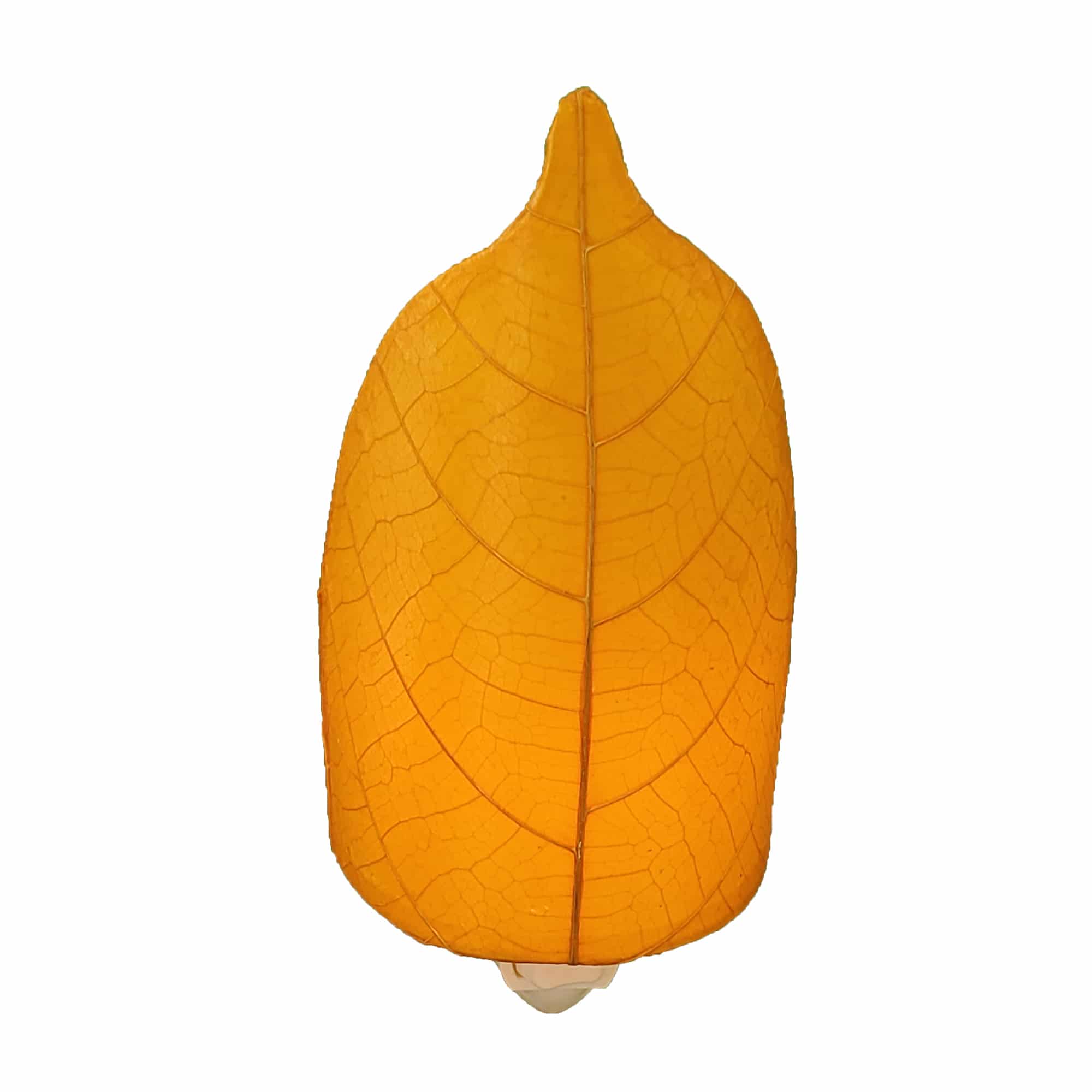 Crafted by the artisans of Eangee Home Design, the Leaf Nightlight in orange against a clean backdrop, featuring fossilized cocoa leaf shade, eco friendly, handcrafted.