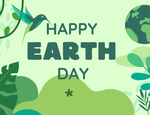 Revealing Earth’s Enigmatic Mysteries: 10 Captivating Facts for Earth Day Exploration