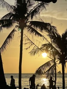 Inspiration from a sunset beach view with palm trees, ocean light, and natural scenery